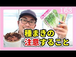 種まきのやり方 ガーデニング・家庭菜園ｂｙ園芸チャンネル 163