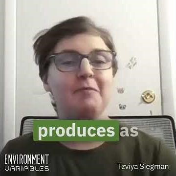 AI vs Humans: Who Uses More Energy?