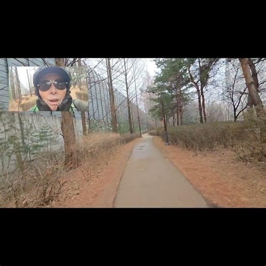 Long metasequoia forest path #trekking #mountains #travel #hiking