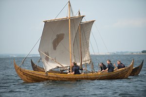 44K views · 1.3K reactions | EN: There are now only a few days until...