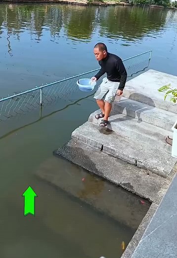 Water Rippling Experiment by a Pond