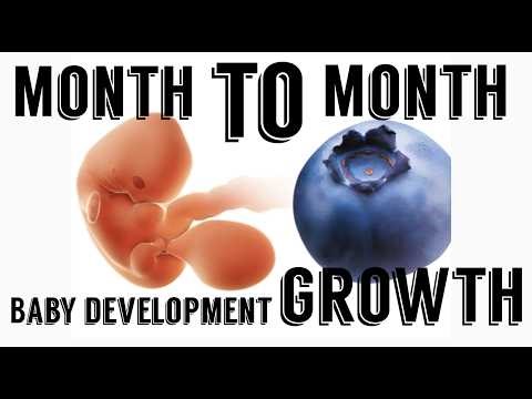 Baby Month by Month Development and Growth Guide .