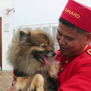 348 reactions · 251 shares | This cruise line knows the way to our...