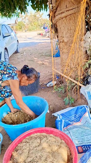 Pala Ngaopatcha on Instagram: "คุณยายปรุงอาหารให้น้องบัวกินจ้าพี่ #วัว #ทุ่งนา"