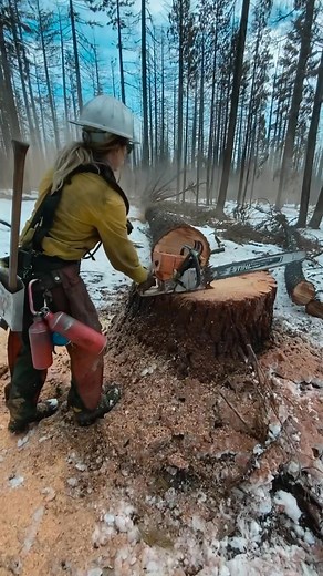 ❄️☠️ #treework #logging #faller #arborist #femalearborist #treefelling #chainsaw #snowday #stihl #outdoors #nature #trees #foryou #fyp