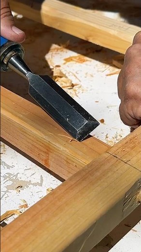 Beginners vs Professional Carpenters!