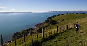 The Best Parks In Auckland You Need To Explore, According To Local Rangers