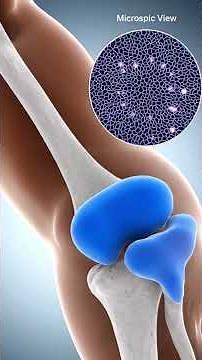 This System Holds Your Entire Body Together 😳 #humanbody