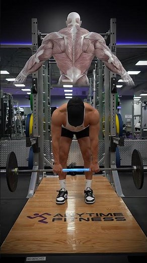 Barbell Row Grip Widths & Muscles Worked!