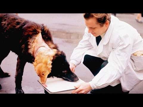 Lab Experiments That Shouldn’t Have Survived