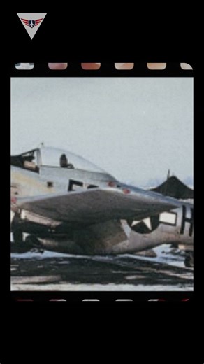 P-51 Mustang: The Riskiest Landing in Aviation History!