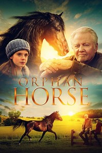 Orphan Horse Summary, Latest News, Trailer, Cast, Where to Watch and More