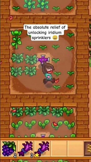 The absolute relief of unlocking iridium sprinklers 😄 #stardewvalley #stardew #stardewtips