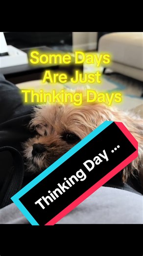 #rhinking days are important!