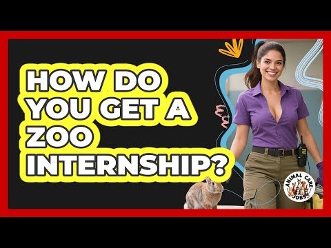 How Do You Get A Zoo Internship? - Animal Care Jobs