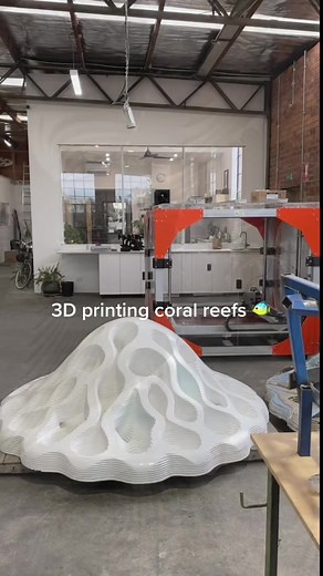 Innovative 3D Printed Coral Reefs for Marine Conservation