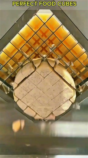 Food Cutting Machine Instantly Turns a Giant Block into Perfect Cubes.
