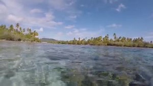 On the west coast of Motu Mahaea (Tahaa), French Polynesia you can discover the beauty of the island. We will take you on the boat and will walk across an uninhabited motu (islet) off the coast. http://ow.ly/nrAL50z0glD You'll snorkel from the other side of the motu, and our guide will lead you as the current carrys you through the shallow lagoon on the way back to the boat. The area teems with a spectacular variety of tropical fish and amazing corals. The richness of this coral garden is unique