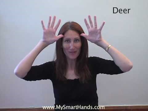 deer - ASL sign for deer