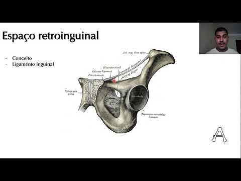 RELAÇÕES ANATÔMICAS DA COXA - Anatomia (Teórica)