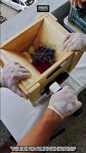 Pressing Fresh Grapes using Work Tool Manual Grape Press #tool #worktool