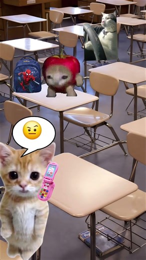 Baby Banana Cat Sunday School Bunk Plan Fails 😺❤️ #catmemes #cat #shorts #fyp #bananacat