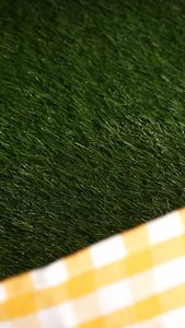 Brunch plan: cute spread, good vibes, nonstop snacking 🤝 Snackible’s Jowar Chips bring the crunch without the heaviness ✨ Because good plans deserve better crunch 😊 Get yours exclusively on www.snackible.com [New, launch, millet snacking, Snackible, Healthy, Crunchy, tasty, new launch product, Millets, Jowar Chips, Sweet Chilli, Cheddar Cheese, Chatpata Masala] | Snackible