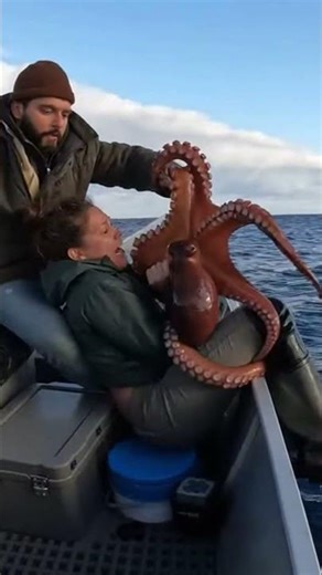 Giant Octopus Wraps Around Woman’s Legs on Small Boat