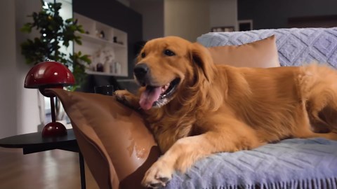 ILIFE Robot Vacuum and Mop Combo, V3s Pro Upgraded, Compatible with 2.4GHz WiFi/Alexa/Google, 120mins, 3000Pa, 2-in-1 Mopping Robotic Vacuum Cleaner, Path Route, for Pet Hair, Hard Floor, Carpet (V3x)