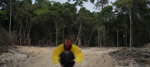 How Coldplay Urged 6 Brazilian States to Protect the Amazon and Defend the Planet at ‘Global Citizen Live’