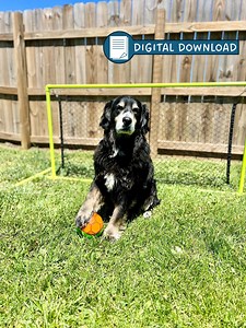 DIY PVC Outdoor / Indoor Soccer Net Plan - Etsy