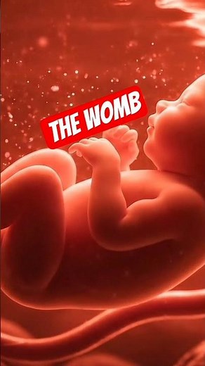 The Womb — Whisper Before Life
