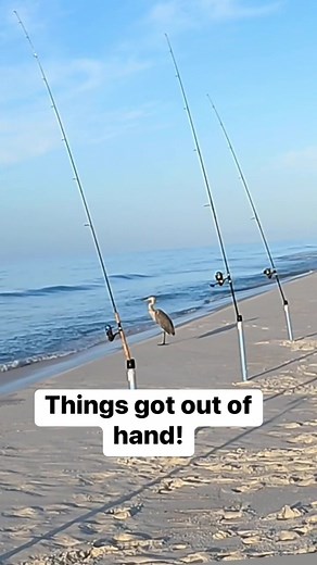 Bama Beach Bum (@bamabeachbum_fishing)’s videos with original sound - Bama Beach Bum