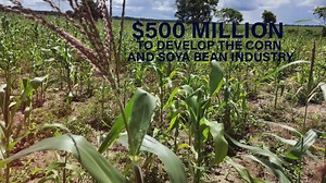 6.4K views · 70 reactions | Here is a look at some developments in the Agriculture sector in the past year. | News Room | Facebook