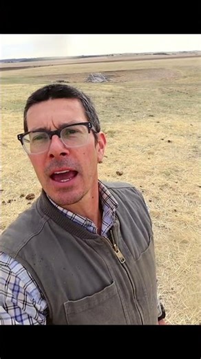 How We Regrow Grass on Our Homestead