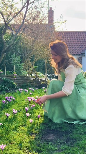 AD Zootopia characters I’ve met in the garden (and night howlers) 🌱🐰 #zootopia #garden #wildlife #cottage #cottagegarden