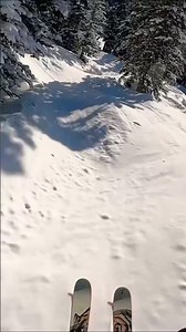 Skiing Fast Through Trees #skiing #skiingtrees #gopro