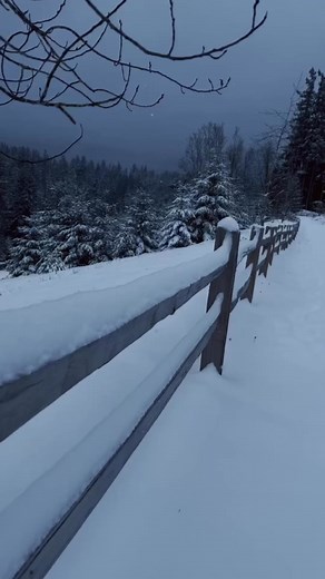 Fall asleep fast with this Spotify playlist! | Hush Sleep