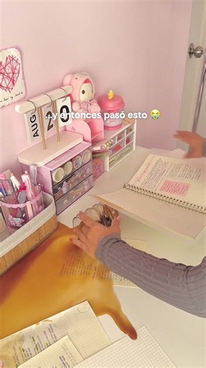 2 años de apuntes como para perderlos en 2 segundos 😭📚 menos mal tuvieron salvación jajaja #StudyNotes #StudyTok #studytips #camscanner