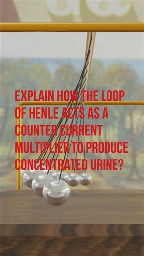 Counter current multiplier ! Kidney function Q/A#edexcel #cambridge #revision #exam #biology#neet