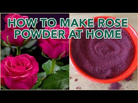 How to make Rose powder at home with left over roses