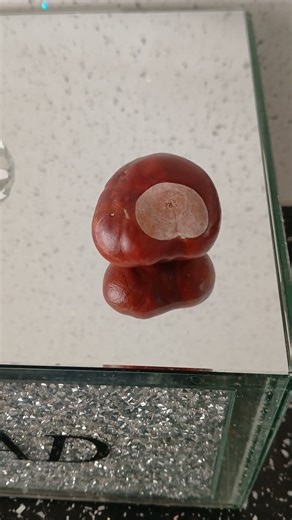 This was our 70s PlayStation