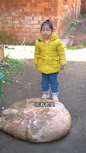 গরুর পচা ভুঁড়ি? 🤔~mini wood toy-wood working art skill wood / hand crafts / #shorts #viral