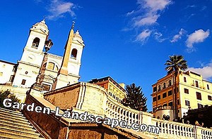 Plantes: Azalées: détecter et contrôler les maladies et les ravageurs | 2025