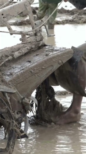 Ancient Archimedes Screw Still Pumps Water After 2000 Years #shorts #viral #facts