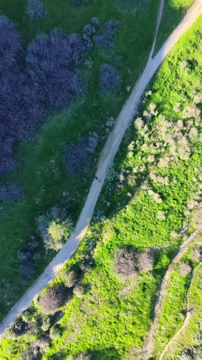 #birdseye #hoverairx1promax
