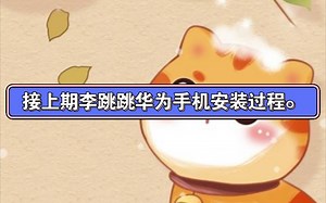 李跳跳华为手机安装过程