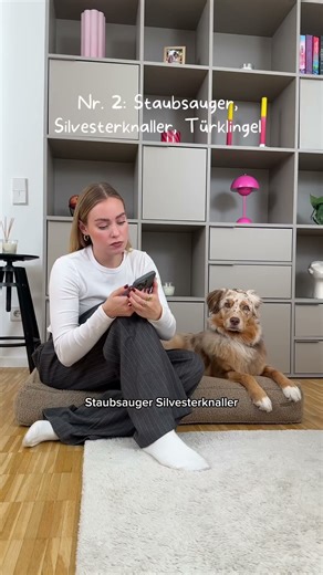 More peace and quiet in everyday life = noise & environmental training 🐶💗🤞🏼