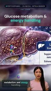 How Retatrutide Works — GLP-1 / GIP / Glucagon Triple Agonist Explained