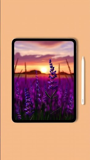 Lavender field at golden hour